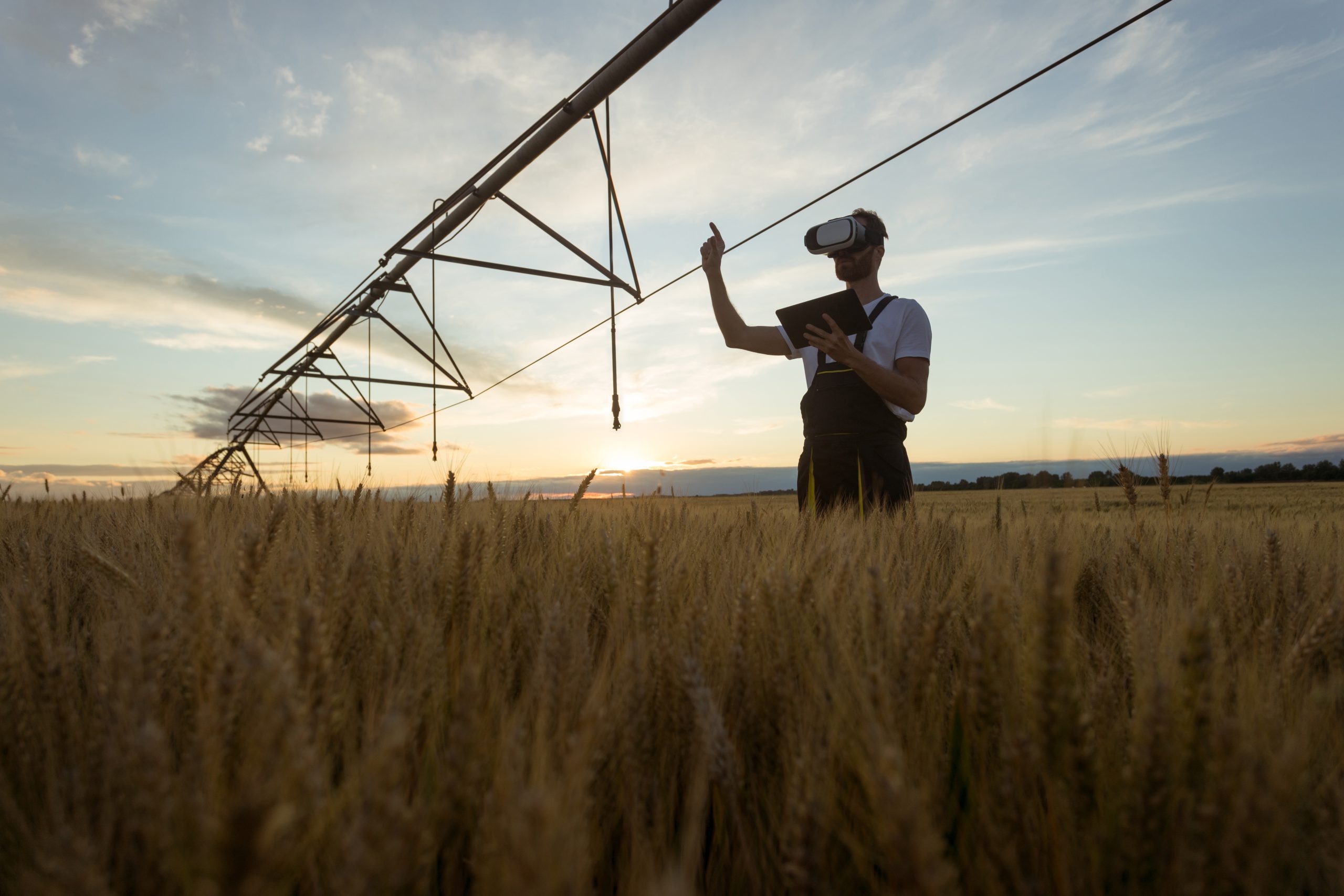 man in wheat field