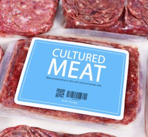 cultured meat