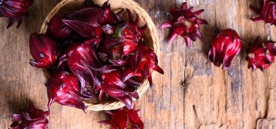 hardy roselle