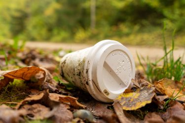 coffee cup litter
