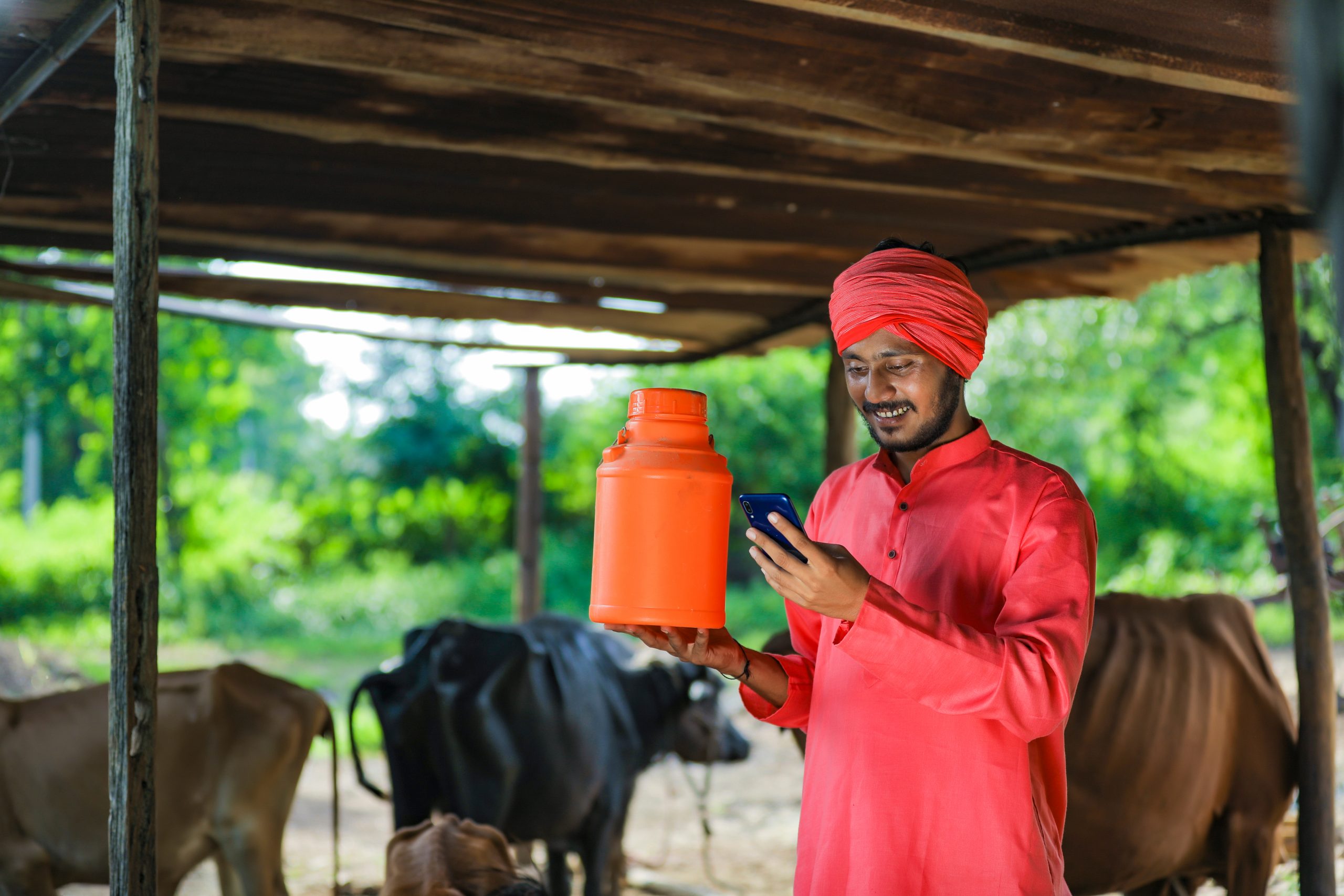 india dairy farmer