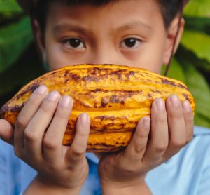 cocoa farmers