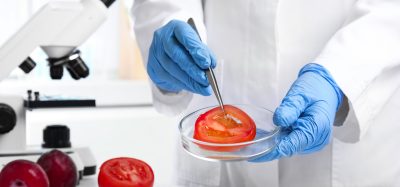 lab