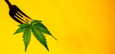 cannabis fork