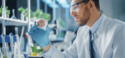 cultured meat