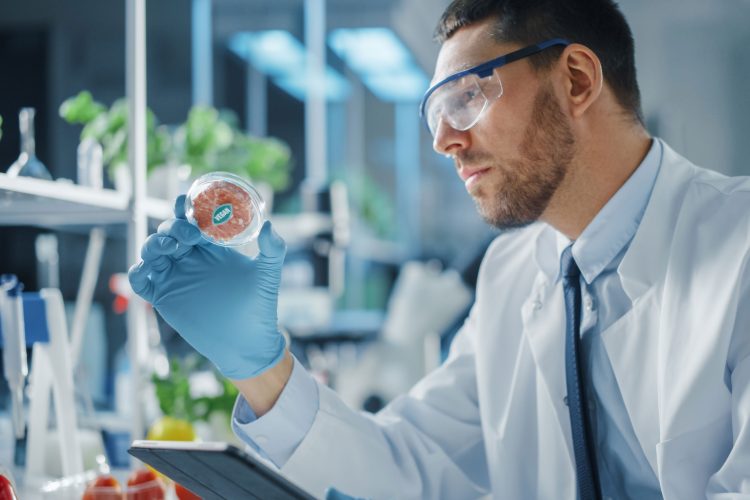 Man looking at plant-based meat in lab