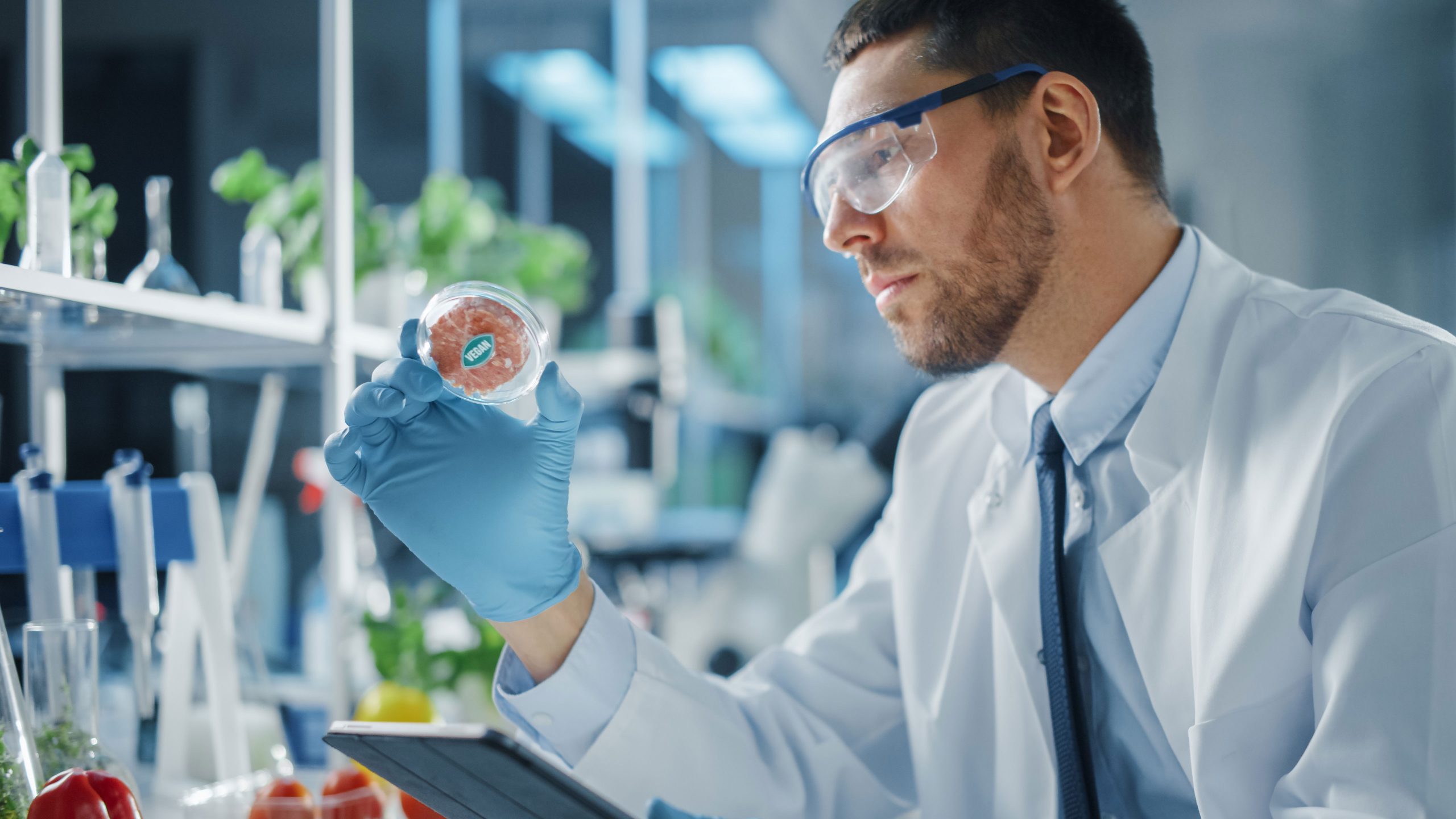 Man looking at plant-based meat in lab