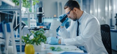 scientist