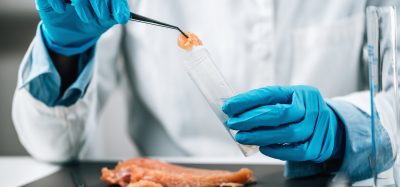 salmonella