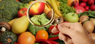 Fresh fruits and vegetables under a magnifying glass, symbolising scrutiny and inspection in global food supply chains.