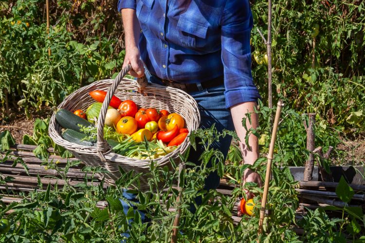 Locavores believe in supporting their local farmers, their local economy, and what is perceived as the most ethical food chain