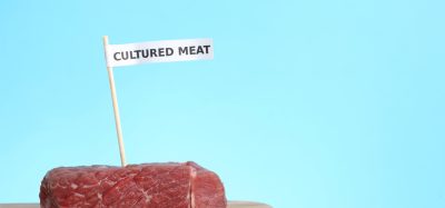 cultivated meat