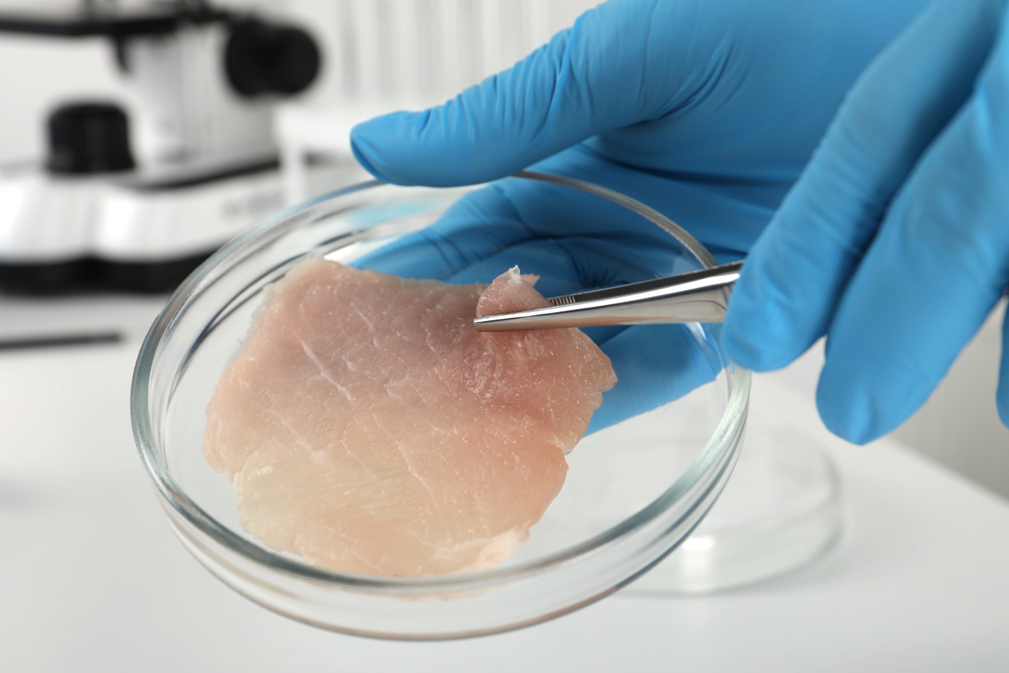 How to make cultivated meat work in the UK New Food Magazine