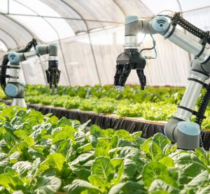 robotics farming