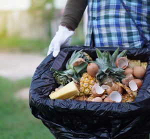 food in bin