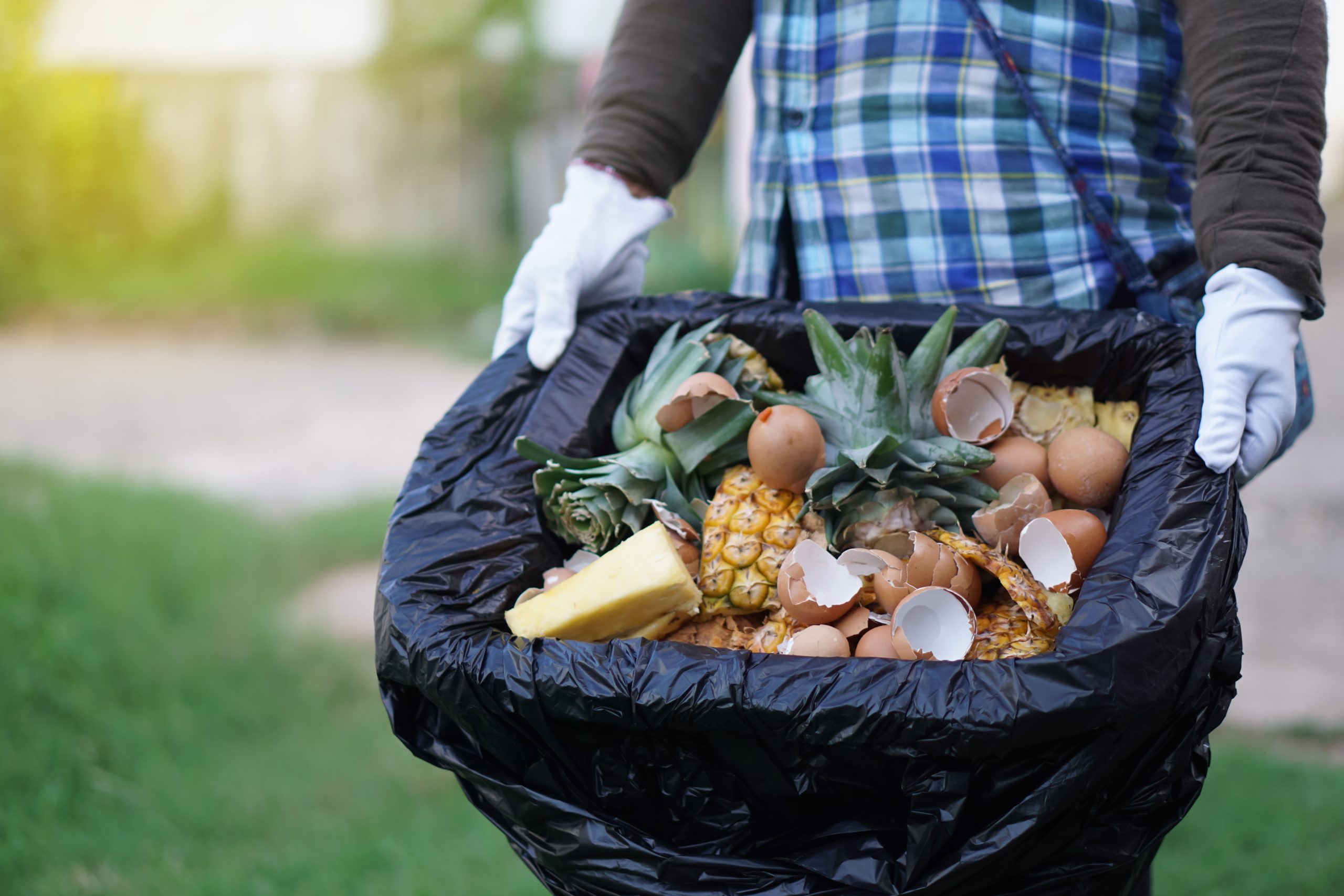 food in bin