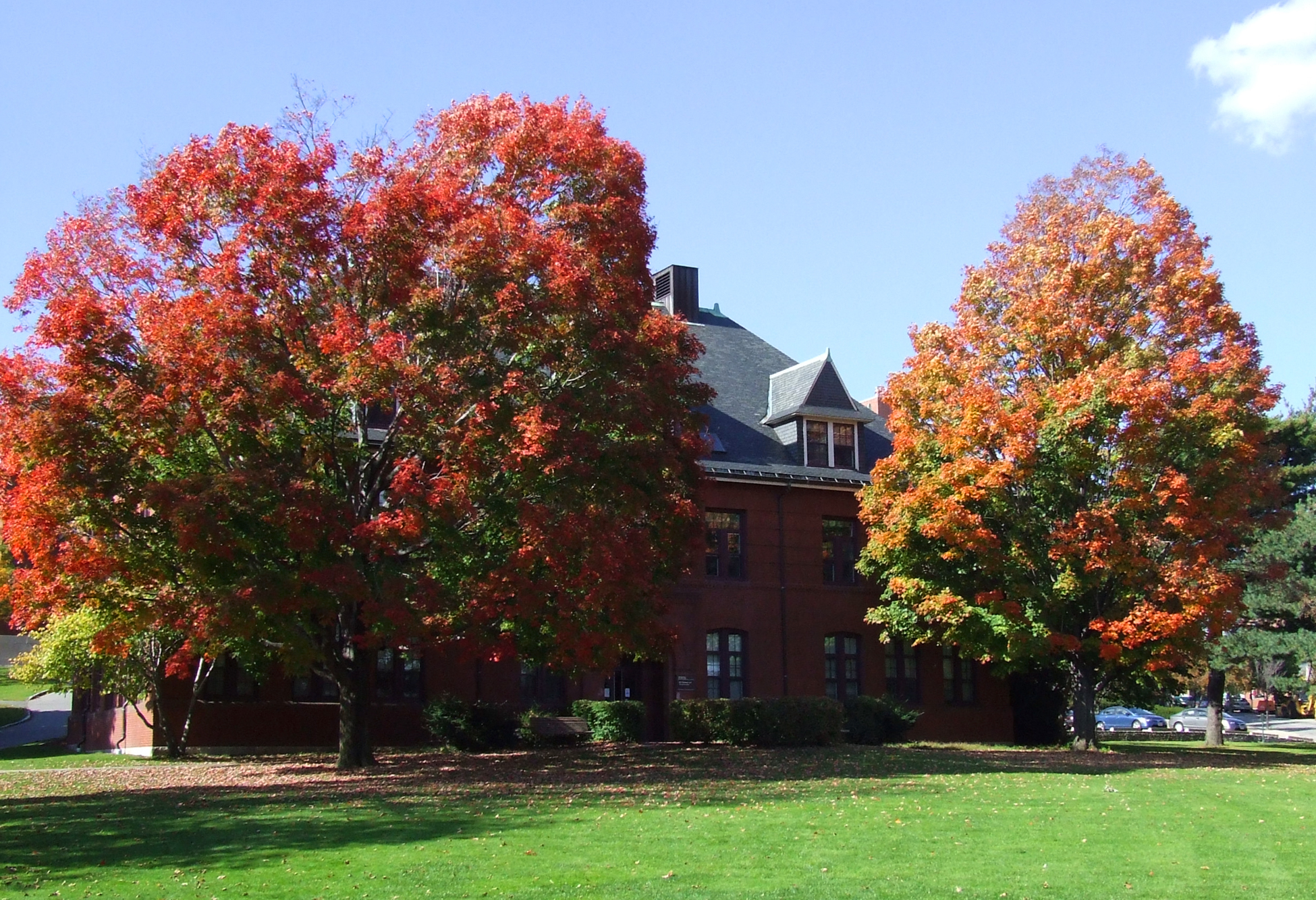 Tufts university boston