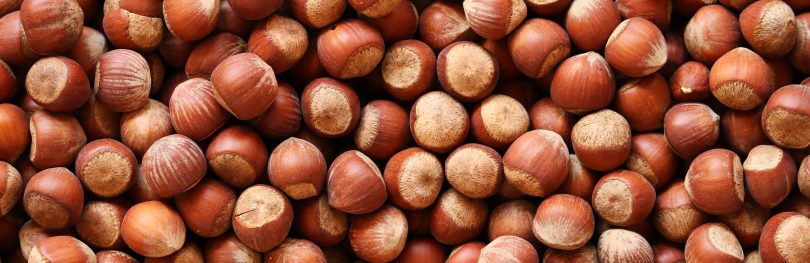 hazelnuts