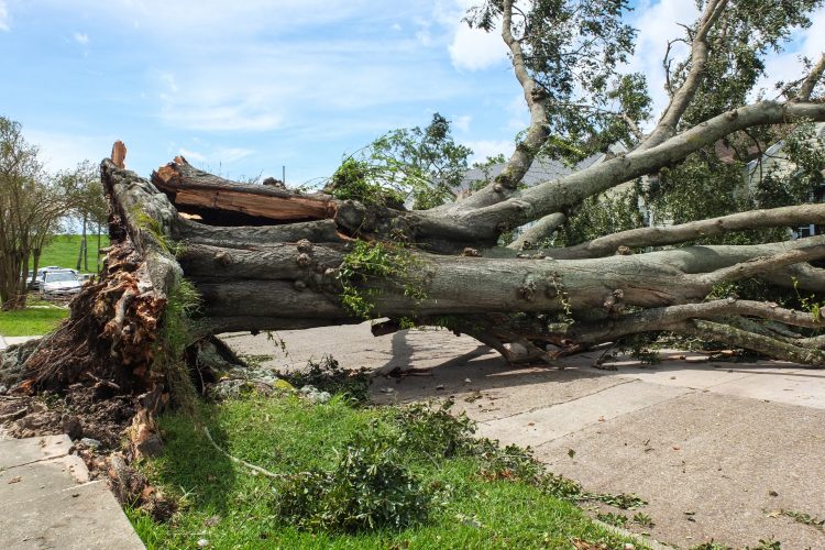 hurricane Ida