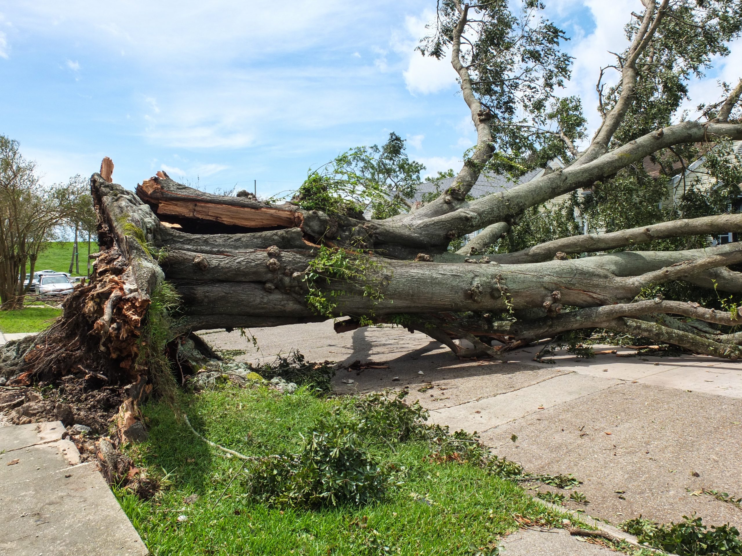 hurricane Ida