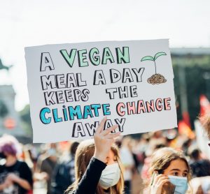 climate protesters