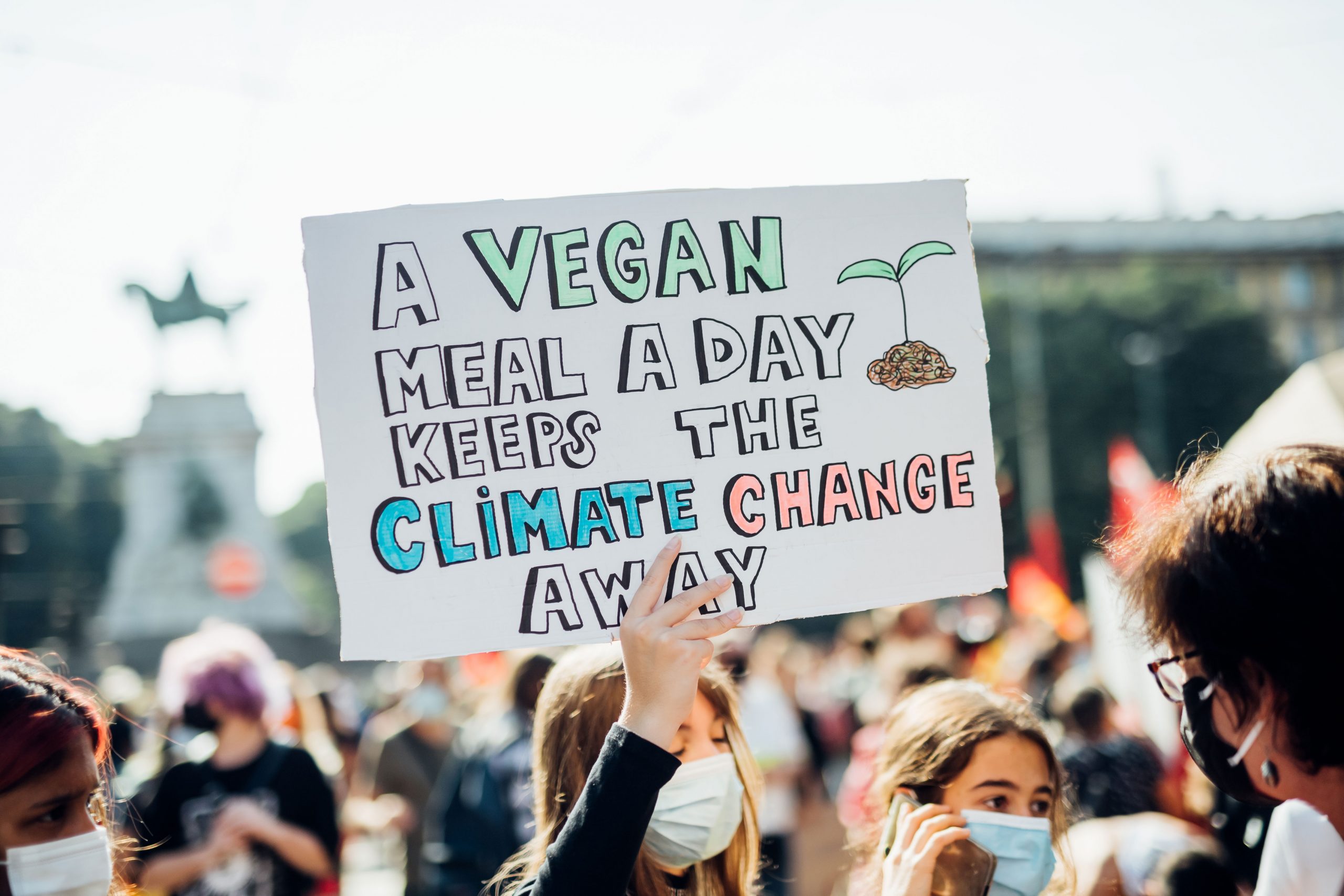 climate protesters