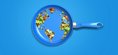 world food
