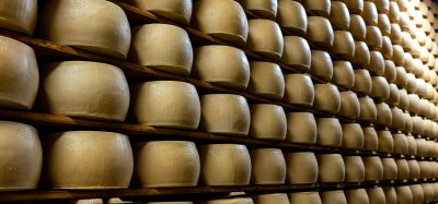 parmesan
