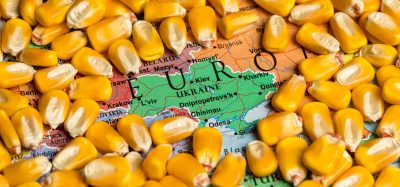 cereal crops Ukraine