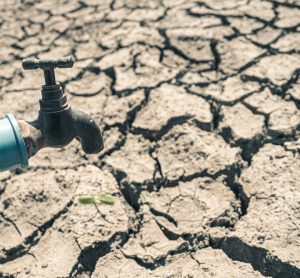 UN report warns global water bankruptcy threatens global food systems, urging governments to reset policy before shortages destabilise agriculture and markets.