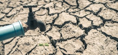UN report warns global water bankruptcy threatens global food systems, urging governments to reset policy before shortages destabilise agriculture and markets.