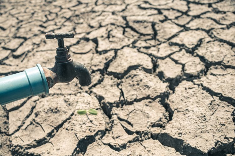 UN report warns global water bankruptcy threatens global food systems, urging governments to reset policy before shortages destabilise agriculture and markets.