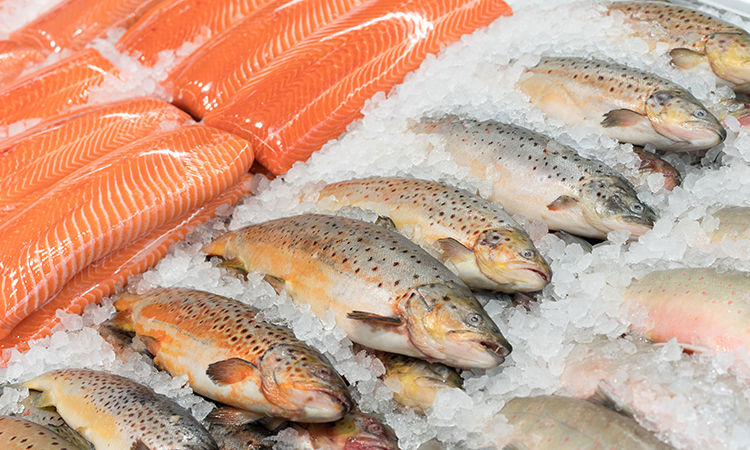 Eating more fish could be the key to preventing cancer and diabetes, says new study