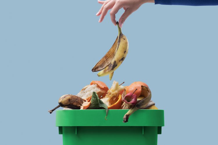 food waste