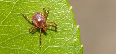 First confirmed death from alpha-gal meat allergy caused by tick bite