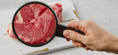 cultivated meat microscope