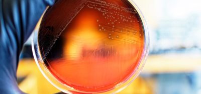 Unpacking the evolving science of pathogen persistence in food processing environments