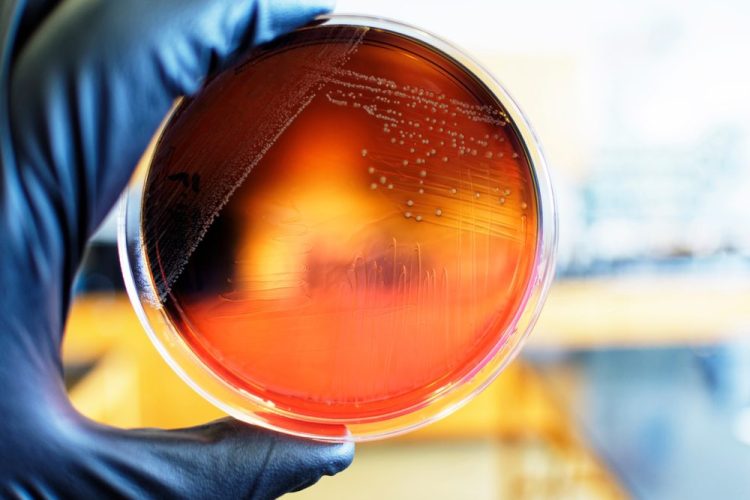 Unpacking the evolving science of pathogen persistence in food processing environments