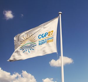 COP27