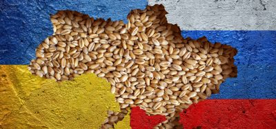 grain