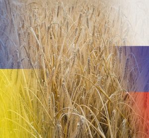 Russia Ukraine grain