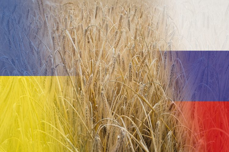 Russia Ukraine grain