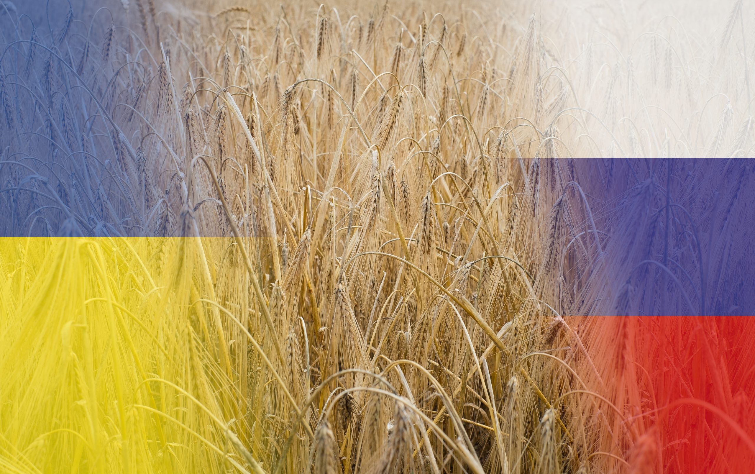 Russia Ukraine grain