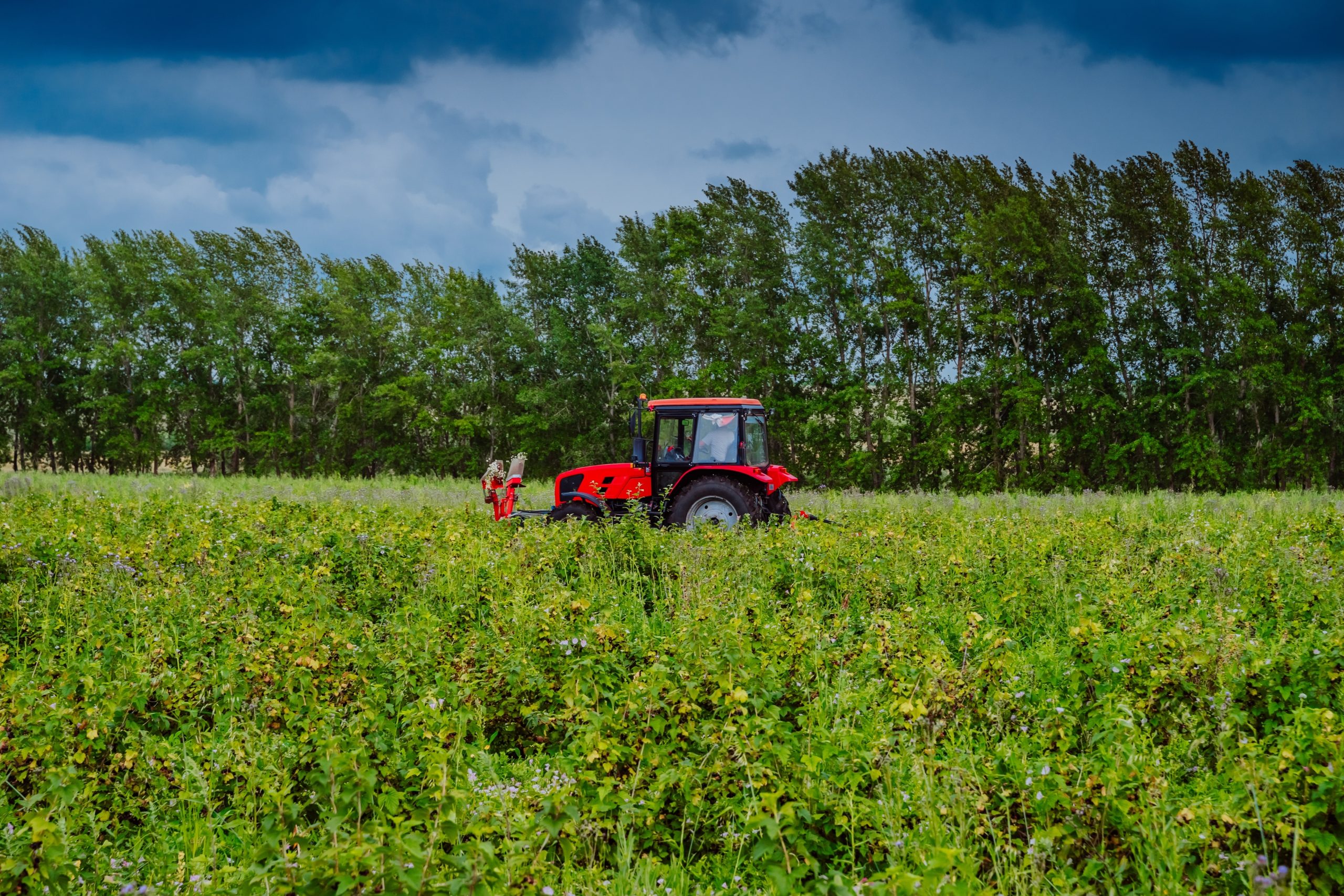 red tractor