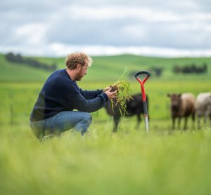 regenerative agriculture