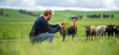 regenerative agriculture