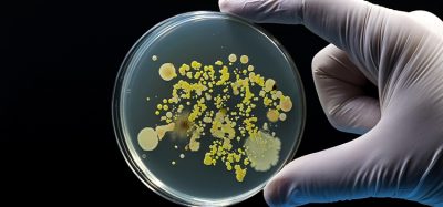 Calls made for actionable steps to combat the rising threat of antimicrobial resistance