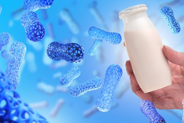 Positioning prebiotics, postbiotics and fermentates in gut health innovation