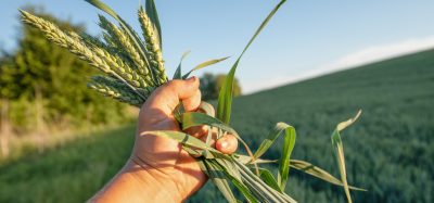 crops