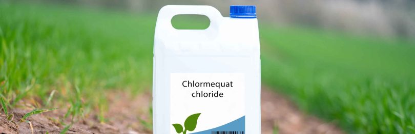 chlormequat